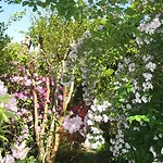 Bed & Breakfast D'hotes Closerie Du Guilhat 3*