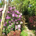 D'hotes Closerie Du Guilhat Bed & Breakfast Salies-de-Béarn
